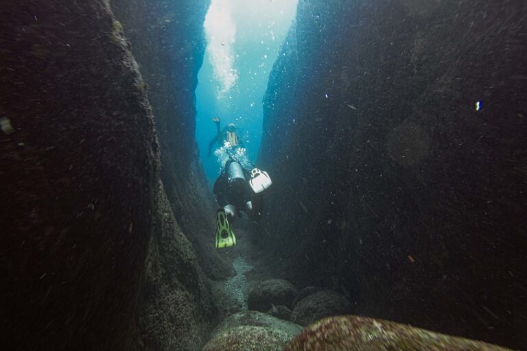 Scuba diving in Cape Town