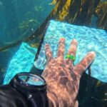 Godknows-Hwata freediving-in-Cape-Town